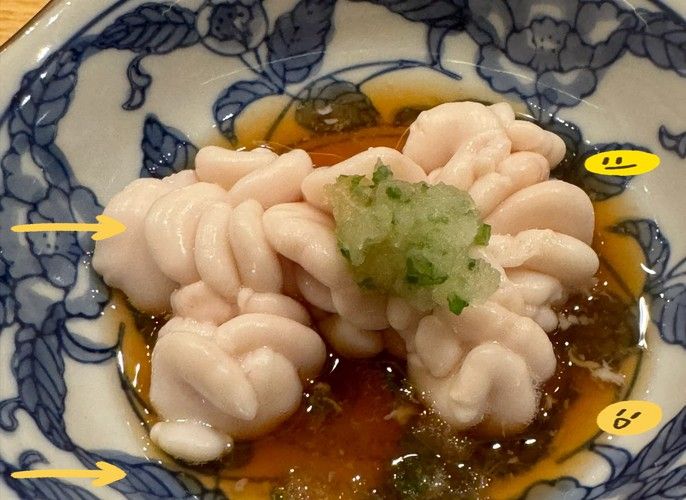 白子銀版魚最忌三種東西 白子銀版魚最忌三種東西 觀賞魚百科 第3張