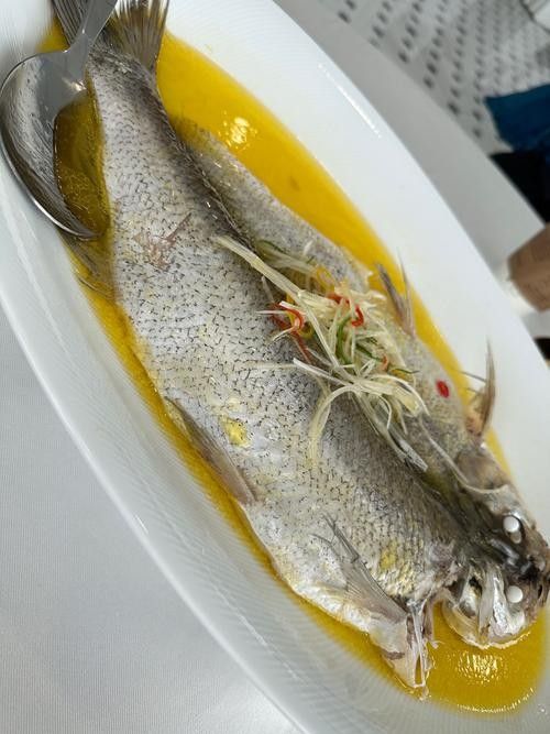 白子銀版魚最忌三種東西 白子銀版魚最忌三種東西 觀賞魚百科 第4張