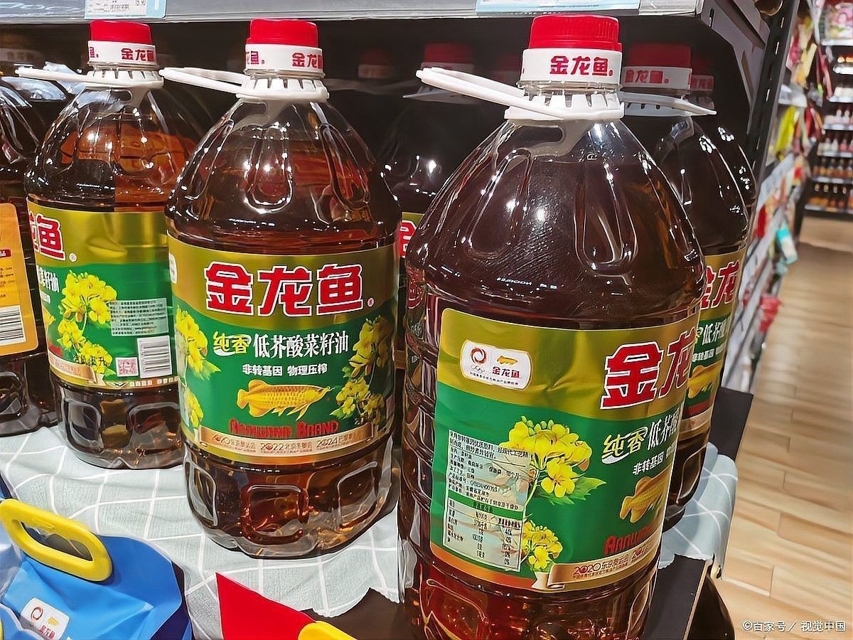 金龍魚品牌有哪些明星產品（金龍魚品牌的幾款明星產品） 金龍魚品牌有哪些明星產品（金龍魚品牌的幾款明星產品） 龍魚百科 第11張