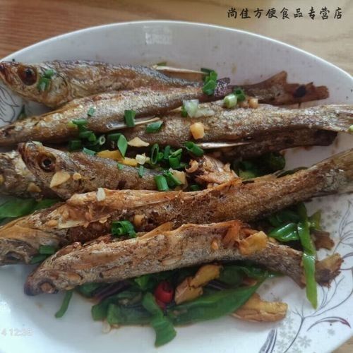 龍川金龍魚是雜牌子嗎