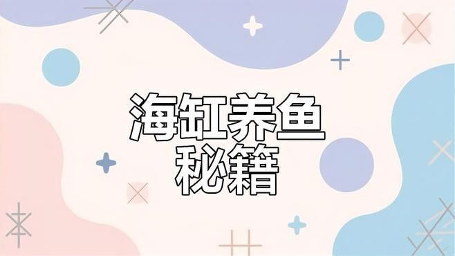 海水缸需要多大的空間（海水缸入門知識）