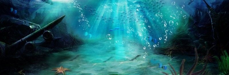 海水缸需要多大的空間（海水缸入門知識）