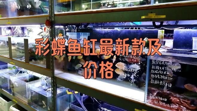 彩蝶魚缸有哪些型號（常見的彩蝶魚缸型號）