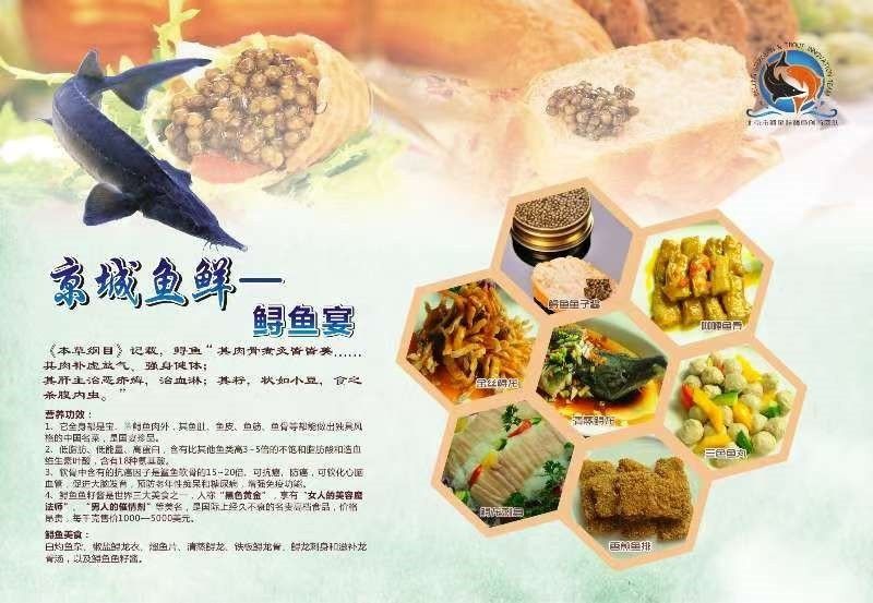 金龍魚肉質如何（養金龍魚的注意事項）