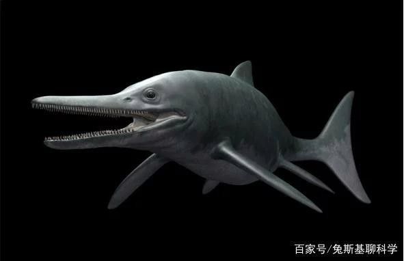 喜馬拉雅魚龍vs霍夫曼滄龍（喜馬拉雅魚龍vs霍夫曼滄龍，）
