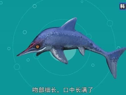 喜馬拉雅魚龍vs霍夫曼滄龍（喜馬拉雅魚龍vs霍夫曼滄龍，）