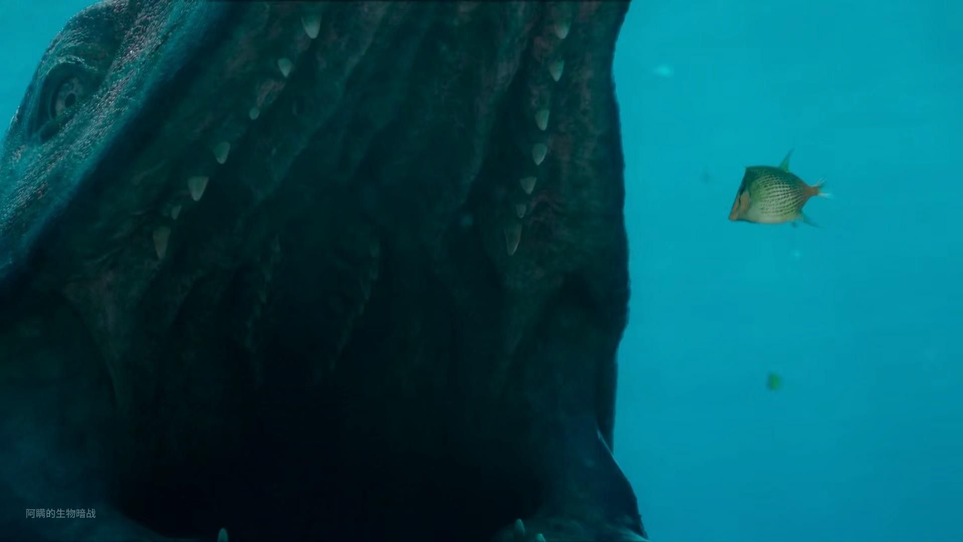喜馬拉雅魚龍vs霍夫曼滄龍（喜馬拉雅魚龍vs霍夫曼滄龍，）