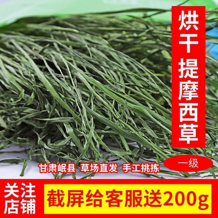 龍貓和貓共處需要多久適應