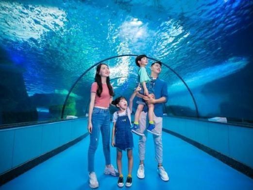 齊河哪個(gè)水族館龍魚好？祥龍魚場龍魚（祥龍魚場龍魚價(jià)格如何） 齊河哪個(gè)水族館龍魚好？祥龍魚場龍魚（祥龍魚場龍魚價(jià)格如何） 龍魚百科 第8張