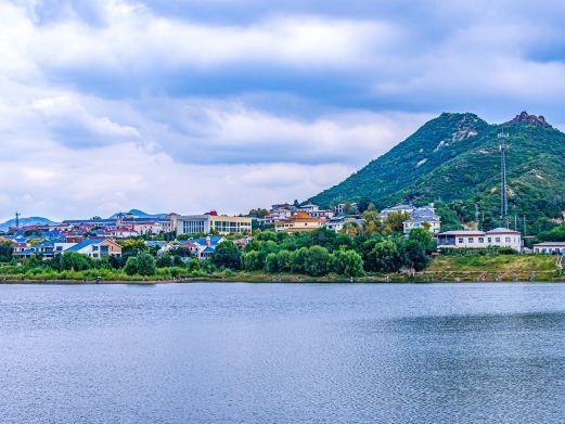 花鳥魚蟲批發(fā)市場，廣州花鳥魚蟲市場