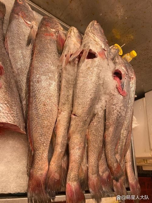 溫州正宗海鮮魚