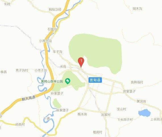 丹東金龍魚地址在哪里？（丹東金龍魚(江城大街店)江城大街店)） 丹東金龍魚地址在哪里？（丹東金龍魚(江城大街店)江城大街店)） 龍魚百科 第2張