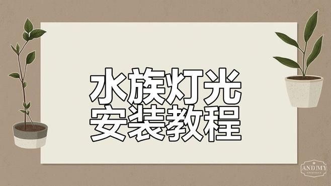 龍魚爛鰭自愈期間需要喂食嗎視頻：龍魚爛鰭自愈期間的喂食策略（龍魚爛鰭自愈期間喂食策略）