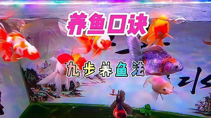 藍帆三間魚能吃嗎（關于藍帆三間魚的食用安全性的探討）
