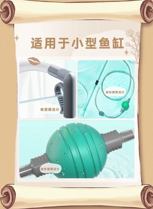 金龍魚魚缸需要定期清洗嗎？（佩特汪魚缸濾材清洗頻率大揭秘多久洗一次最合適）