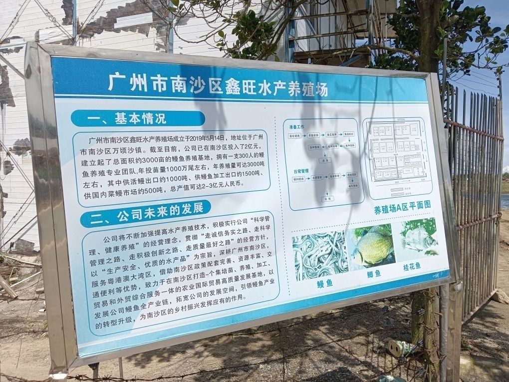 帝王三間魚，祥龍魚場