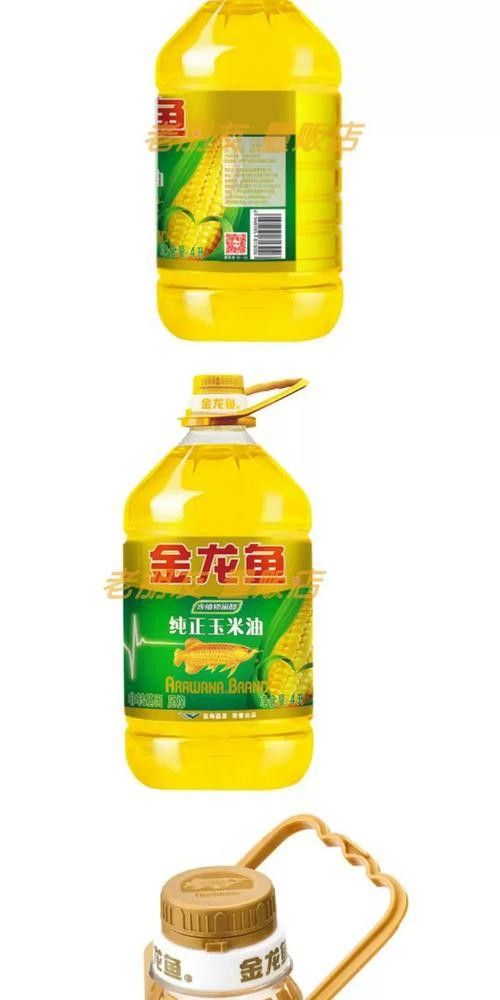鼎城金龍魚