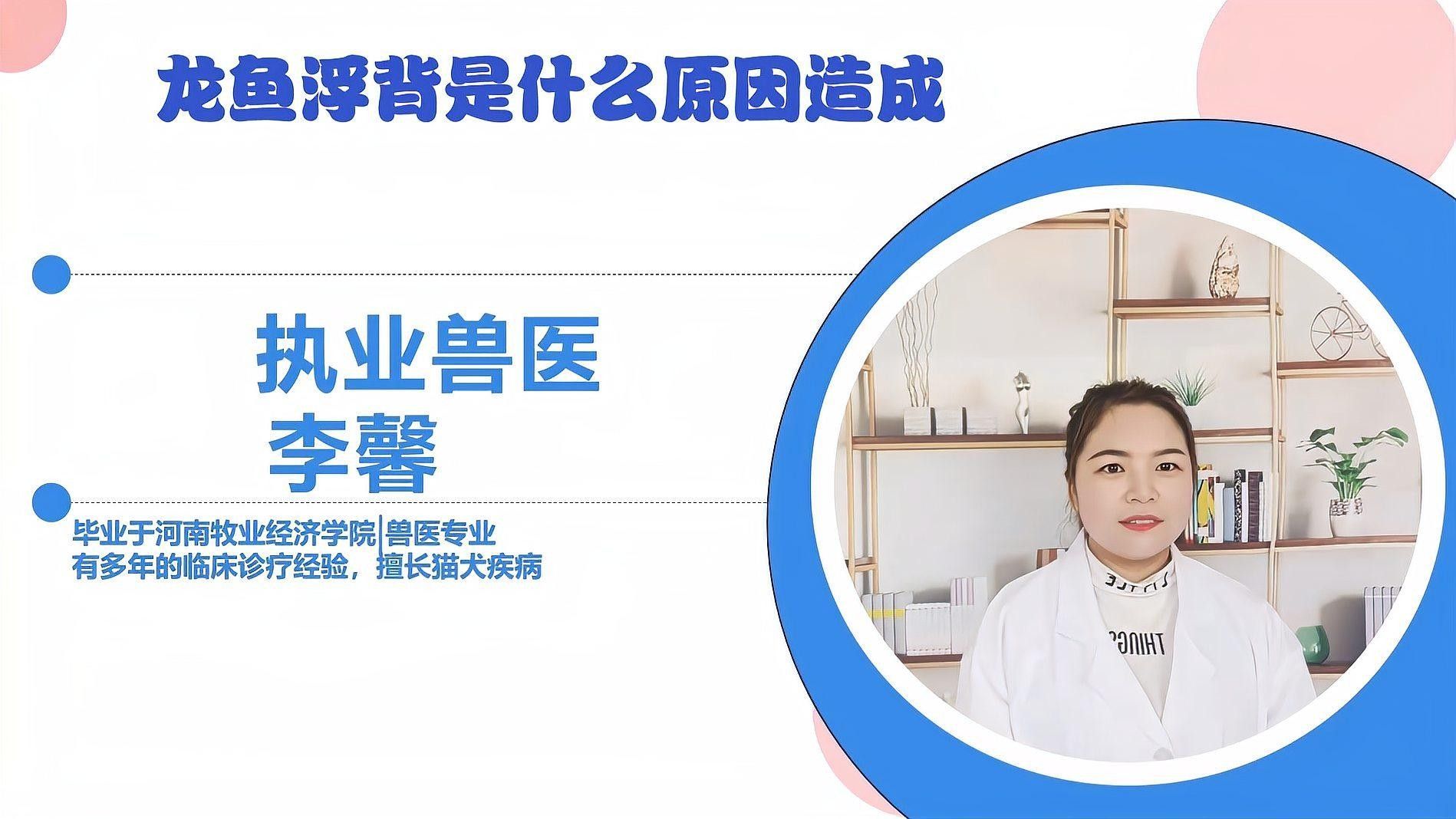 腹水病對龍魚有哪些具體影響