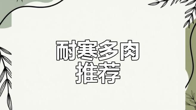 耐寒品種中哪個最好養？