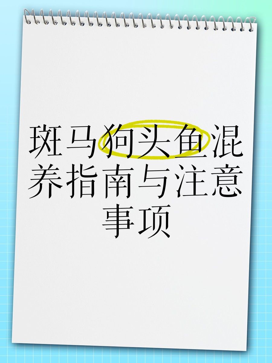 哪些魚可以和斑馬狗頭混養？