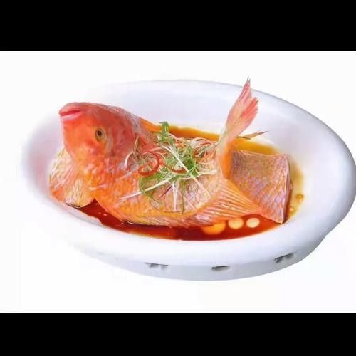給我推薦幾款適合紅龍魚的食物