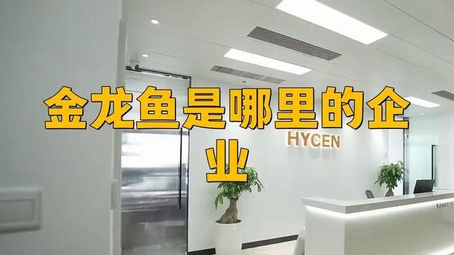新豐金龍魚是雜牌子還是名牌（新豐金龍魚是哪個國家的云課先鋒金龍魚是哪個國家的云課先鋒）