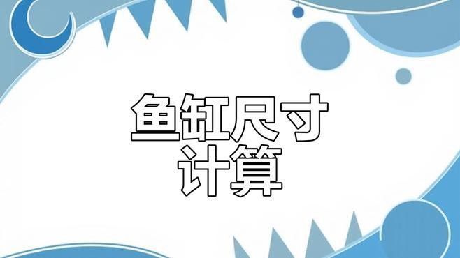 火龍魚和魟魚混養(yǎng)需要多大的魚缸