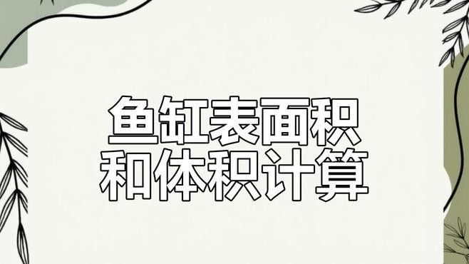火龍魚和魟魚混養(yǎng)需要多大的魚缸
