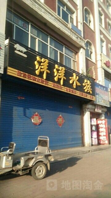 尚志哪個水族館龍魚好？祥龍魚場龍魚