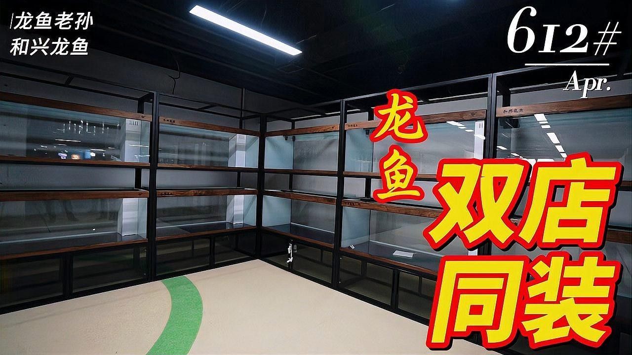 碭山哪個水族館龍魚好？祥龍魚場龍魚 碭山哪個水族館龍魚好？祥龍魚場龍魚 龍魚百科 第10張