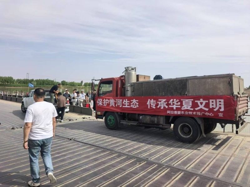 阿拉善左旗龍魚
