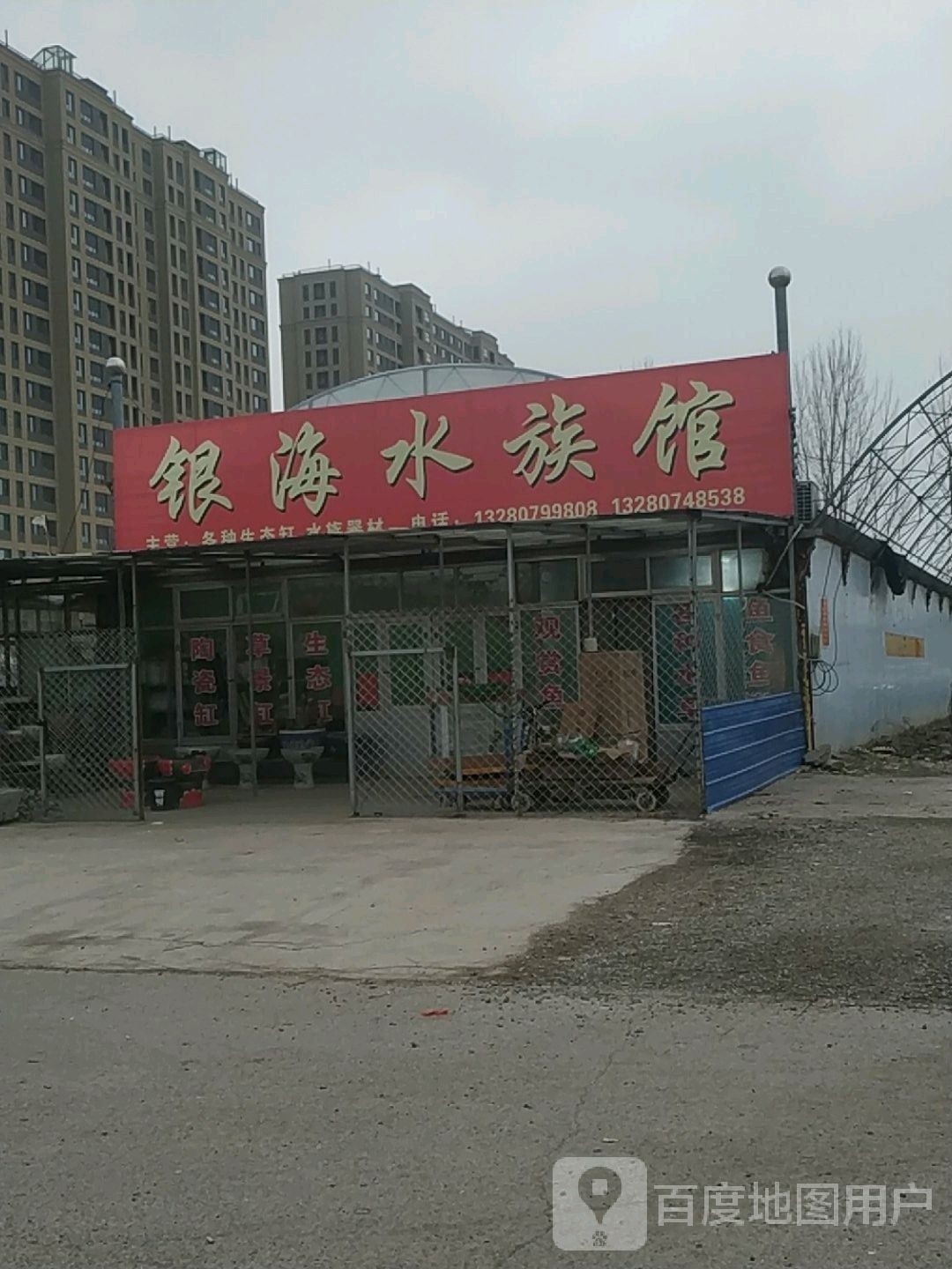壽光哪個水族館龍魚好？祥龍魚場龍魚