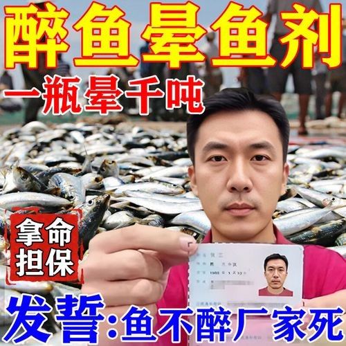 哪里可以買到正品龍魚麻醉劑