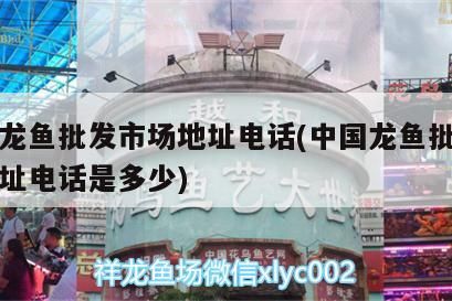 中國龍魚批發市場地址電話(中國龍魚批發市場地址電話是多少)