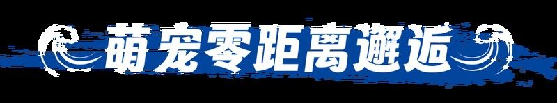 重慶哪個水族館龍魚好？祥龍魚場龍魚