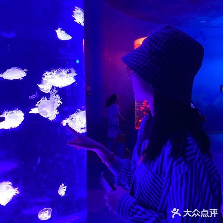 重慶哪個水族館龍魚好？祥龍魚場龍魚