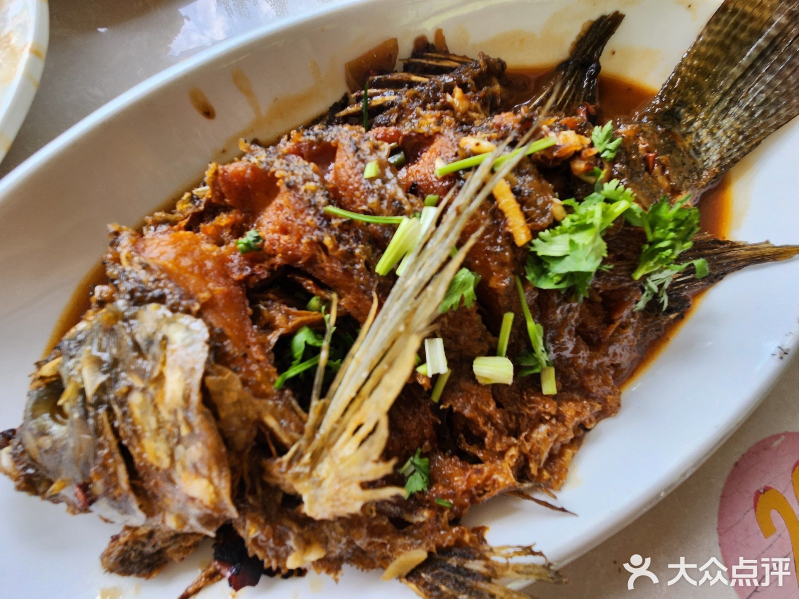英德市有哪些知名的龍魚養殖戶？，廣東地區專業龍魚養殖戶名單英德市龍魚養殖戶名單