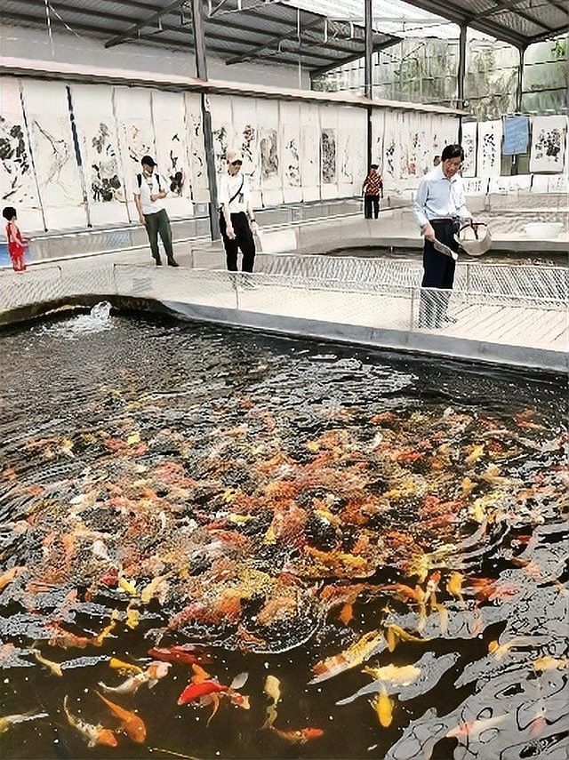 濟南本地漁場有哪些？（濟南本地漁場優勢）