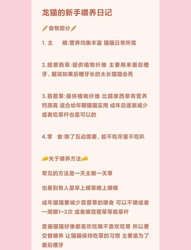 龍貓多久換一次墊料？