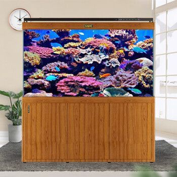 阿克蘇彩鰈魚缸專賣店