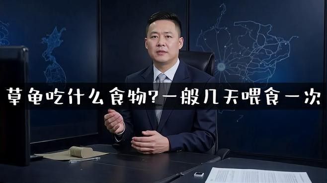 如何設置草龜和龍魚的喂食策略（如何為草龜和龍魚設置喂食策略）