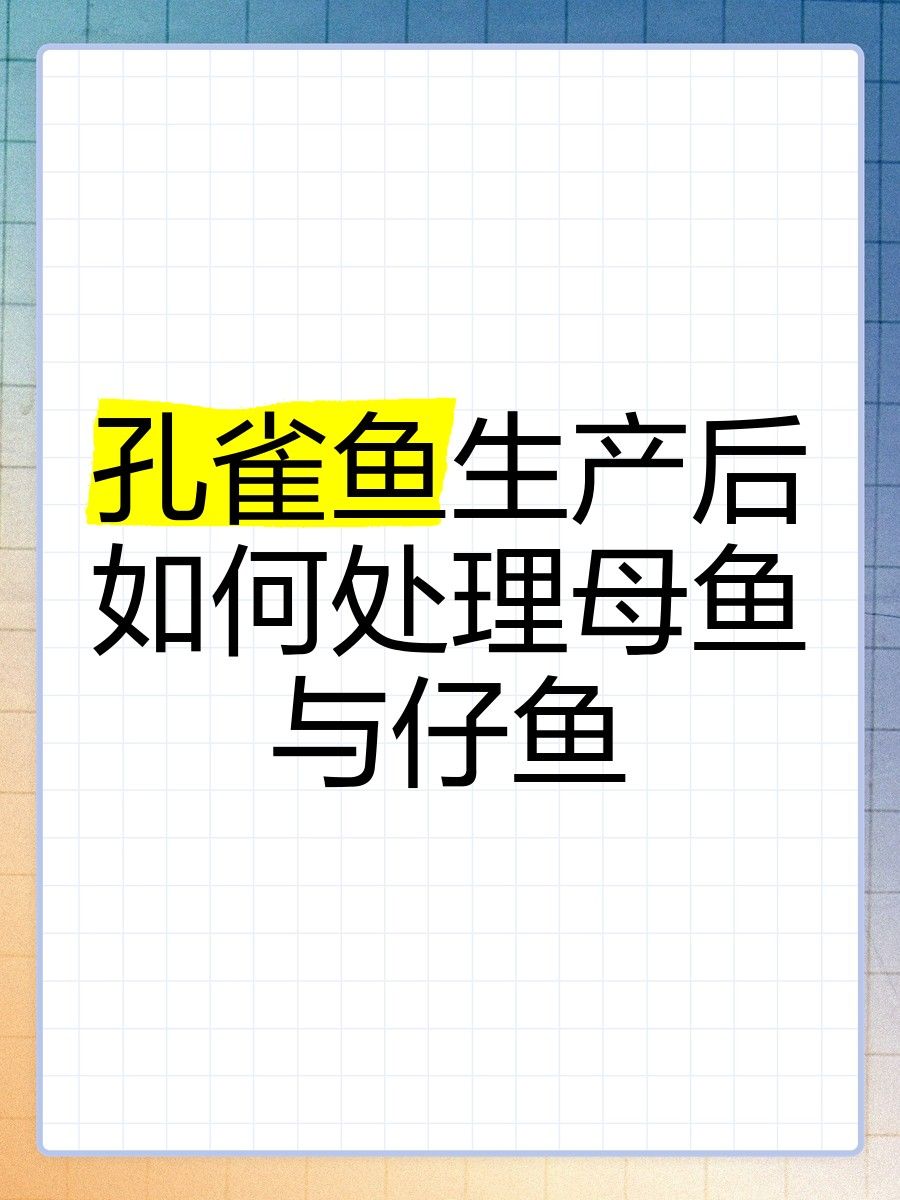 金龍魚擺件如何保養(yǎng)和清洗：金龍魚擺件的保養(yǎng)之道