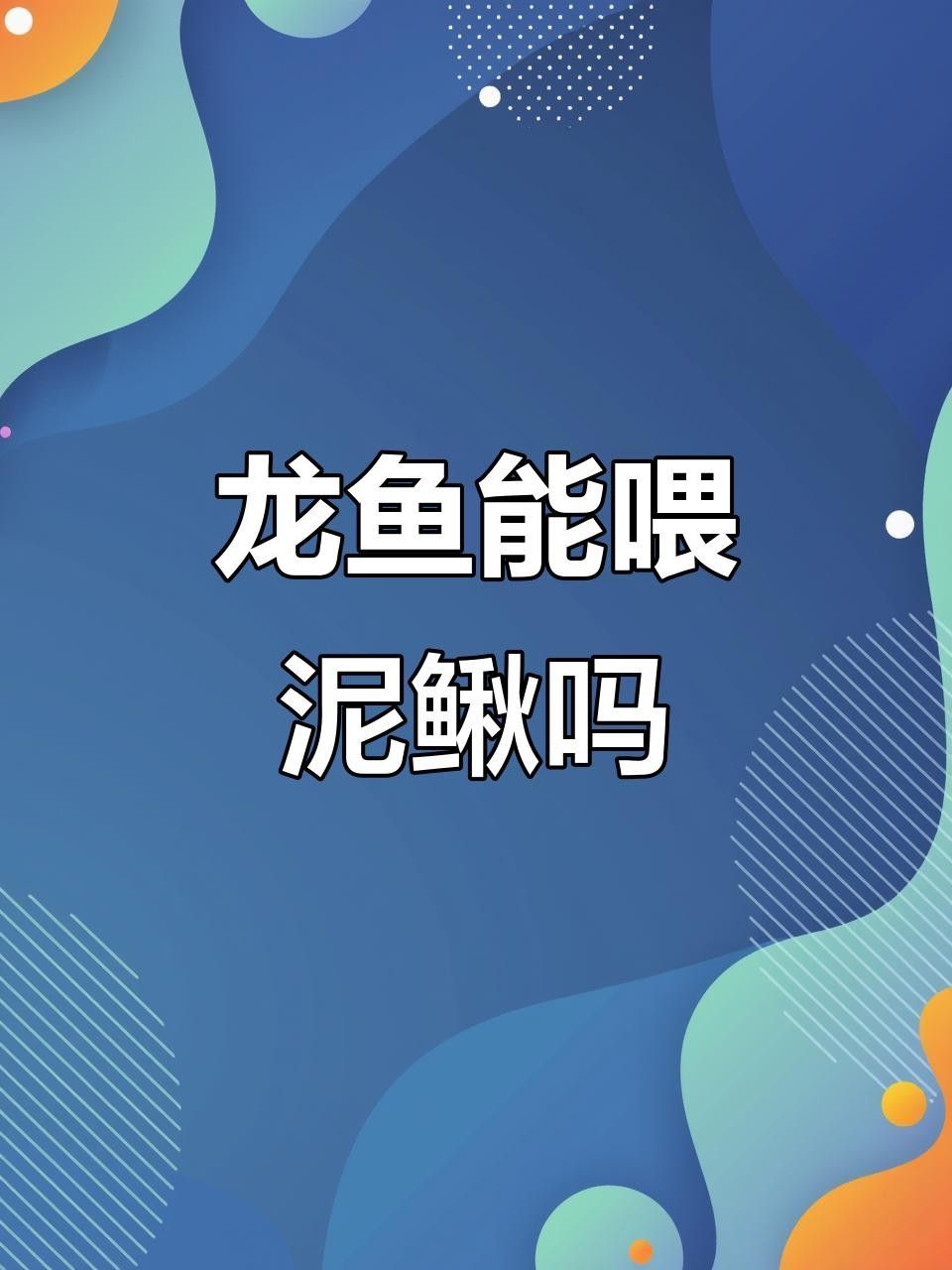 龍魚能不能吃活泥鰍呢