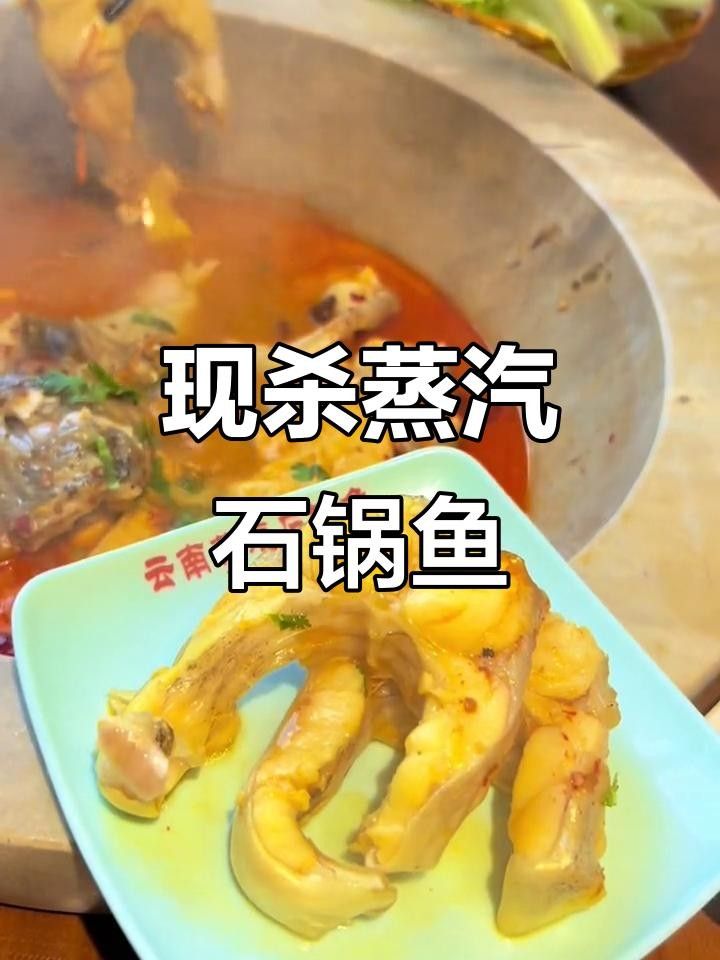 云南石鍋魚主要用的什么魚（云南石鍋魚是什么魚）