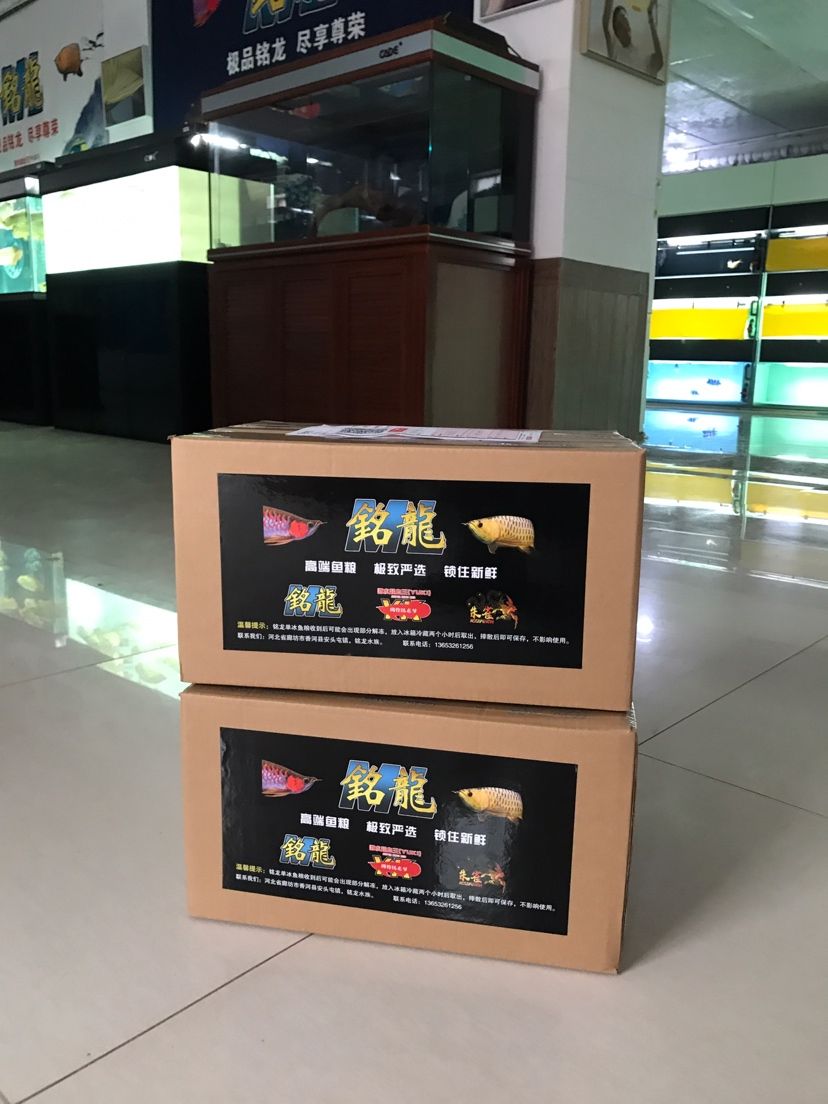 龍魚吃了表現好就是最高的性價比（龍魚健康表現好時所體現的性價比）