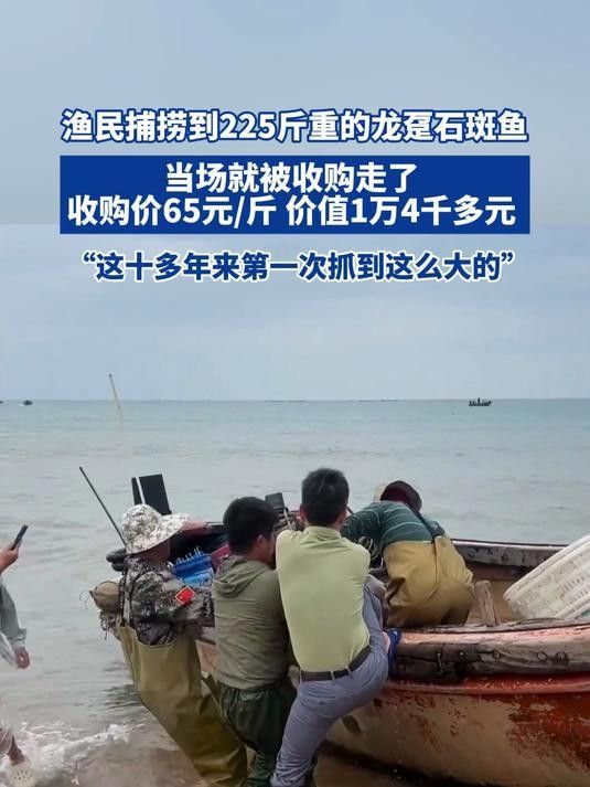 龍鼎魚一斤多少錢