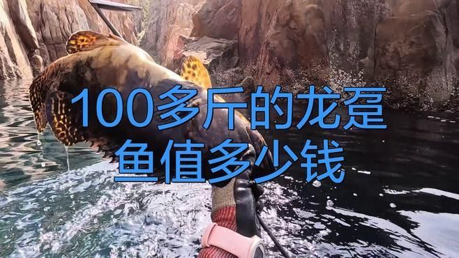 龍鼎魚一斤多少錢