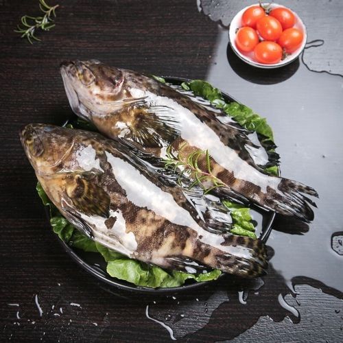龍鼎魚一斤多少錢