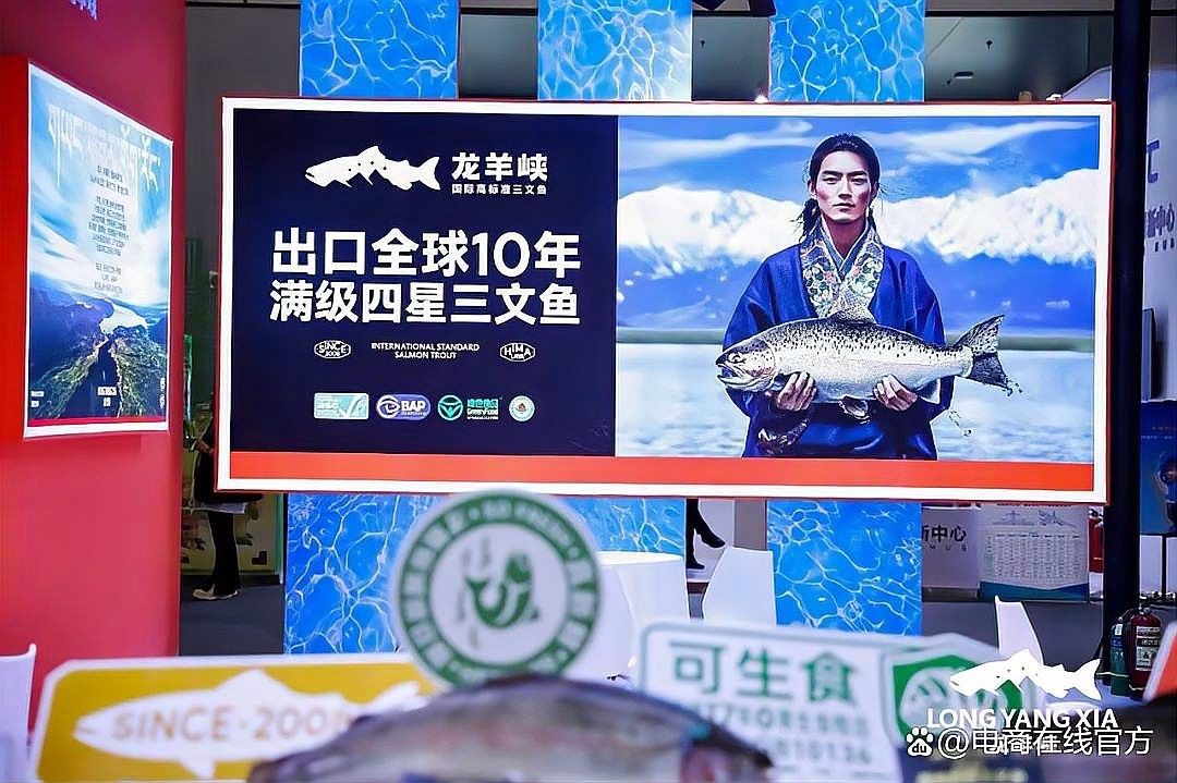 格爾木龍魚是雜牌子嗎（格爾木龍魚屬于雜牌子嗎？） 格爾木龍魚是雜牌子嗎（格爾木龍魚屬于雜牌子嗎？） 觀賞魚百科 第7張