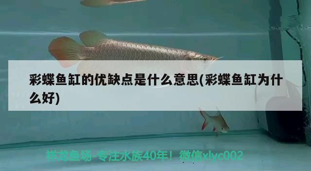 海龍魚的最佳食用季節是什么時候，海龍魚的最佳食用季節